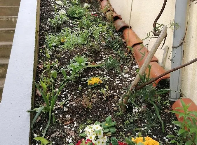 아파트 Chez Pierrette *